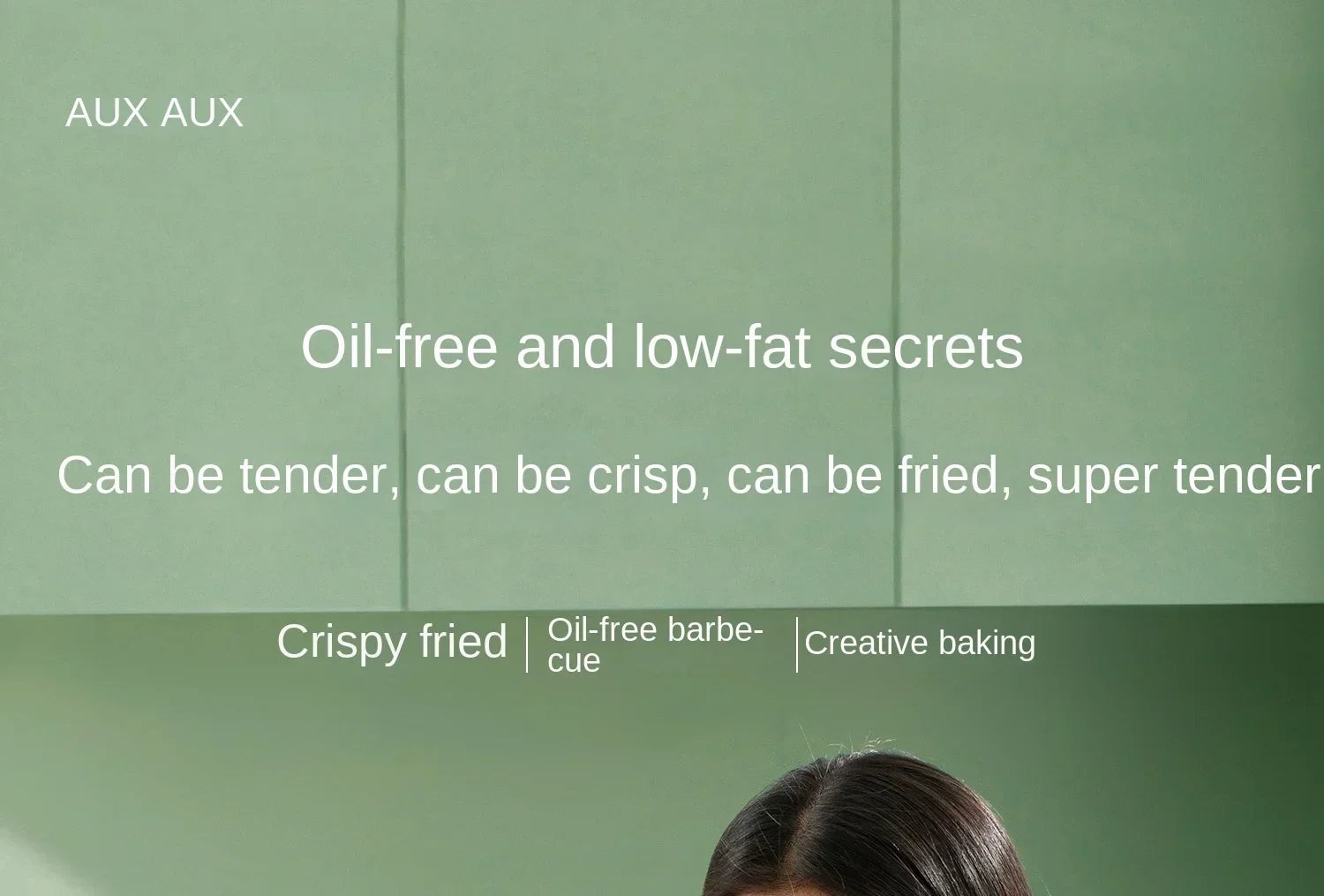 220V 8L Air Fryer